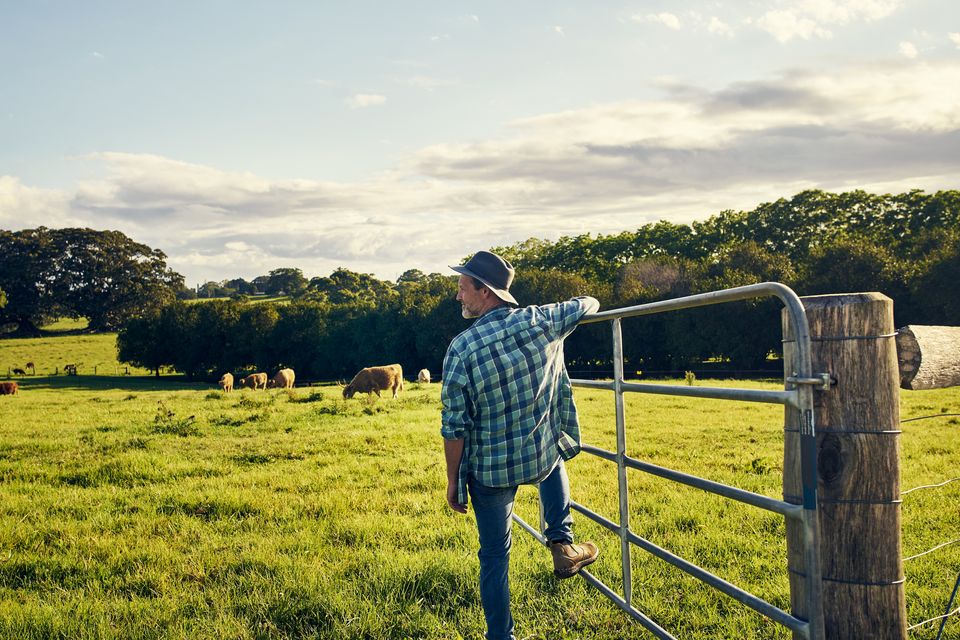 'If you do not have a successor willing to take over the farm and the time has come to take a step back, you will need to consider alternative options.' Image: Getty