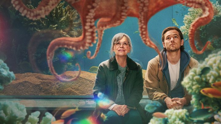 What to watch on TV and streaming today: The Young Offenders, Legally Blonde 2 and Remarkably Bright Creatures