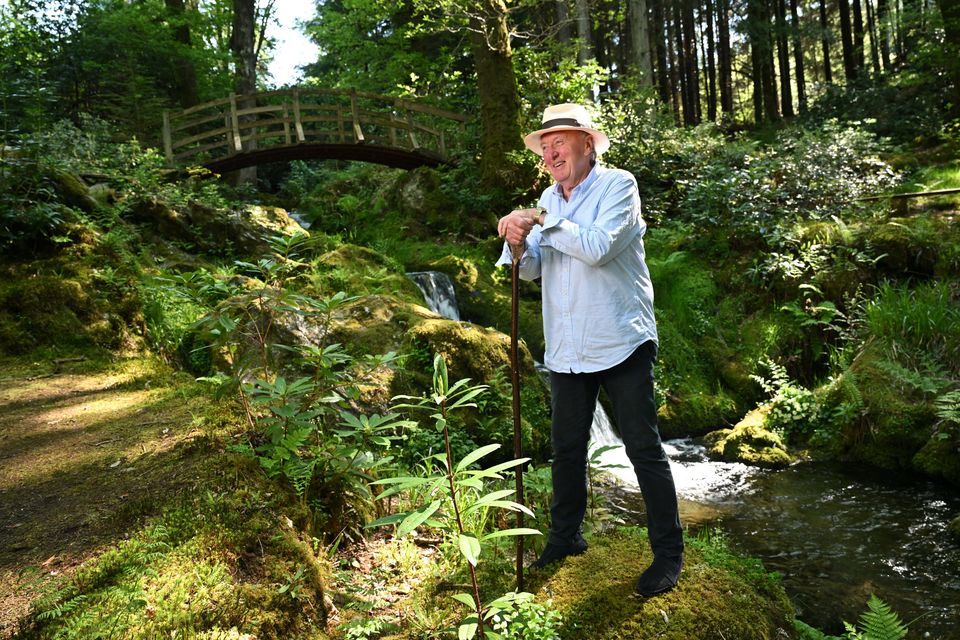 Séan McArdle in the landscaped gardens of his Wicklow home. Photo: Bryan Meade