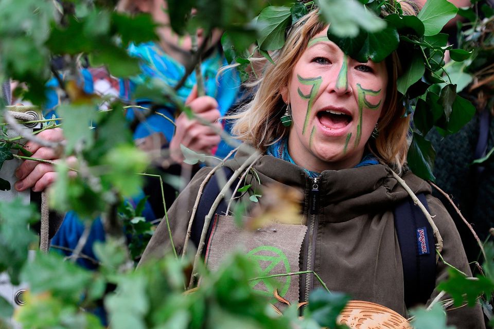 Branching out: Extinction Rebellion protesters during a march to Leinster House. Photo: Brian Lawless/PA Wire