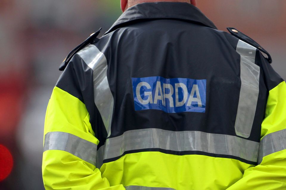 Arrest over child sex dolls as part of operation targeting child  pornography | Irish Independent