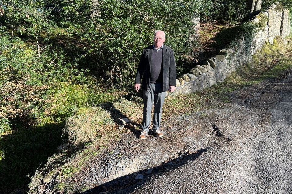 Cllr John Reilly at the bridge in Anaverna