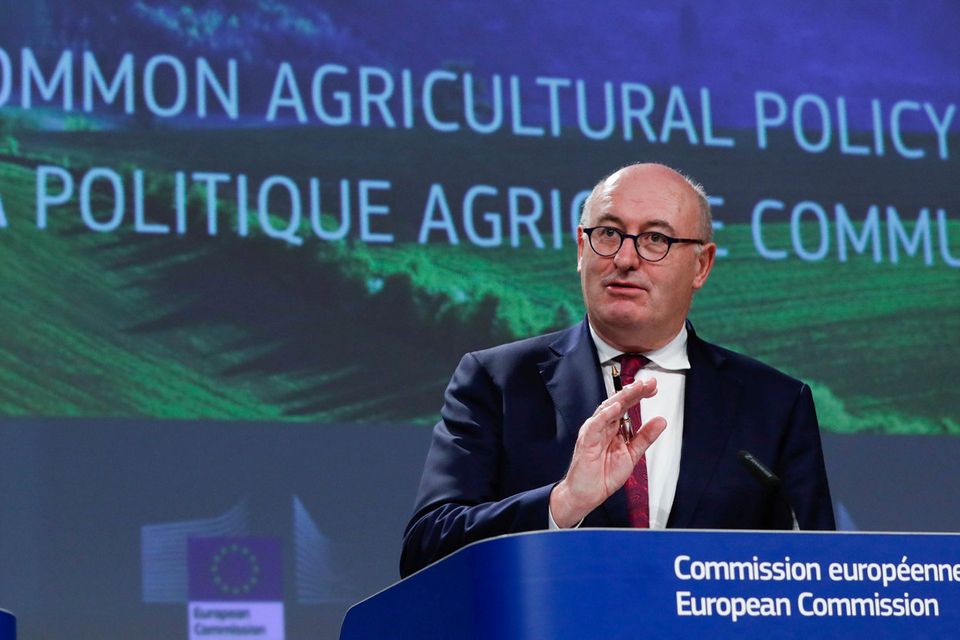 Incoming: Phil Hogan is to be named EU trade commissioner for the next five years. Photo: REUTERS/Yves Herman