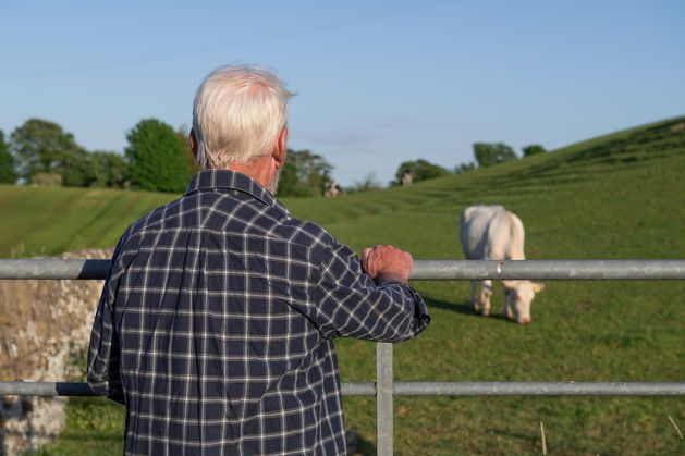 How much will you get? – how your State pension will be affected by the new system