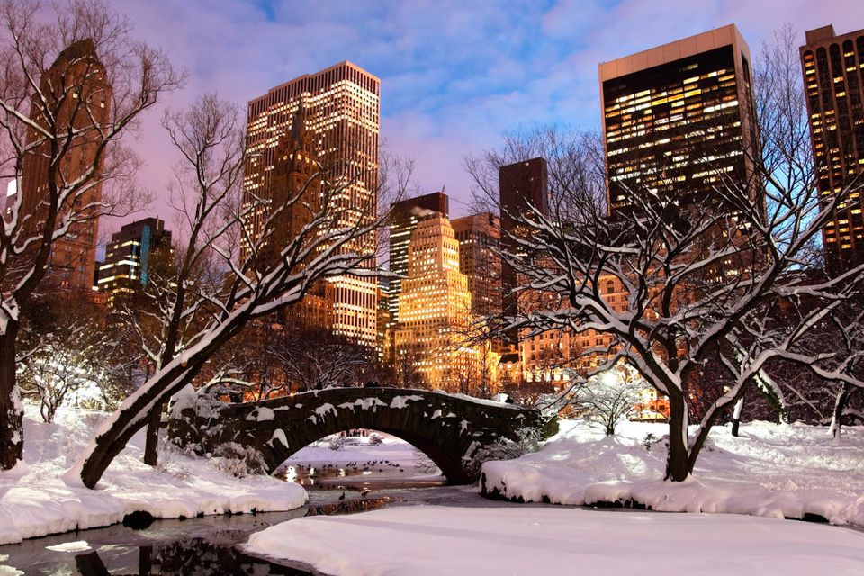 Winter in Central Park, New York City. Photo: Getty