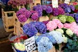 thumbnail: Columbia Road flower market