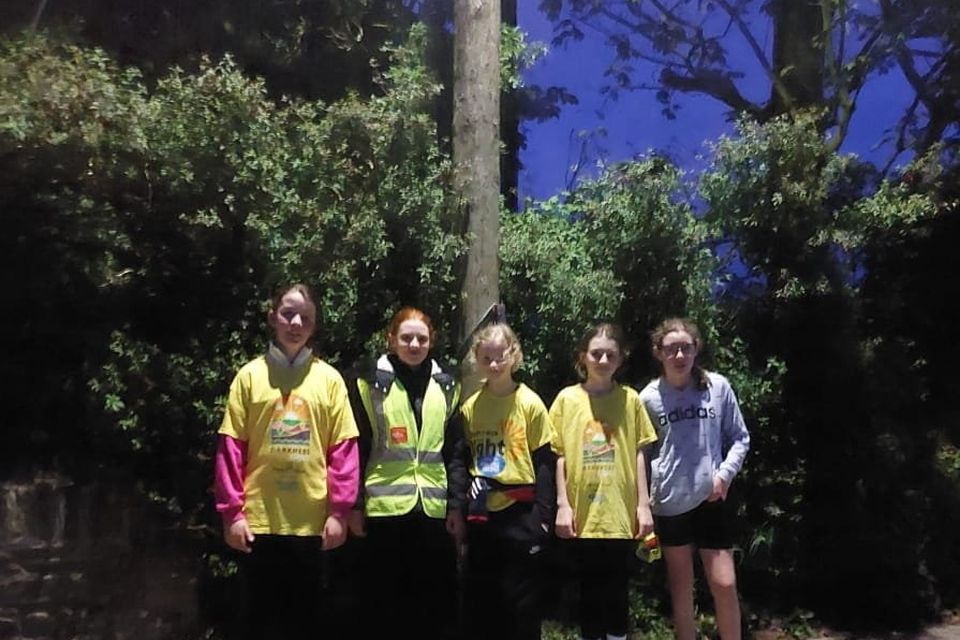 Some of the participants of the Darkness Into Light walk in Boolavogue.