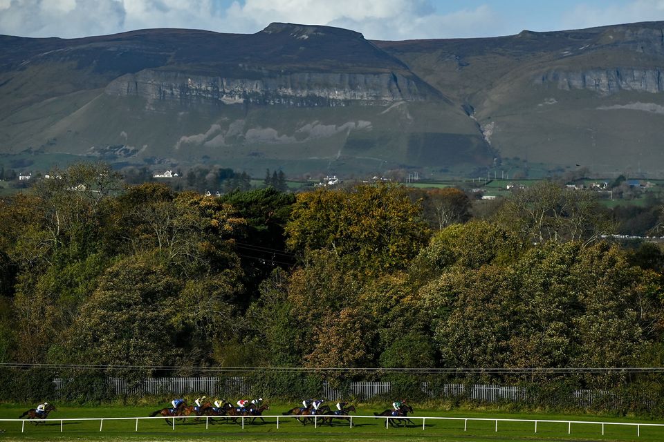 Sligo one of five racecourses to express grave reservations over