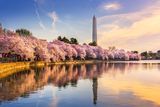 thumbnail: The Washington Monument