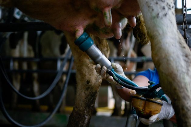‘Milk supply drop costs rural Ireland €370m in just four months’