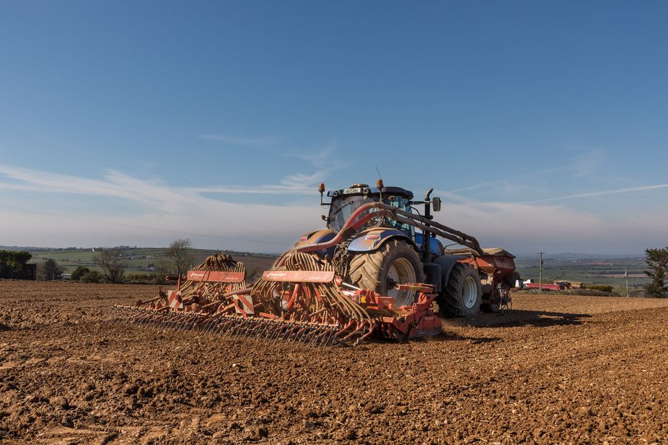 The overall tillage area could decline by up to 11pc in 2024 if action is not taken. Photo: David Creedon