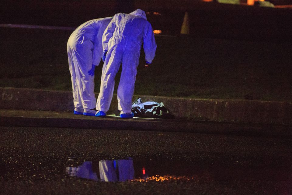 Investigation: Forensic experts examine a bag believed to contain body parts in Coolock last night. Photo: Mark Condren