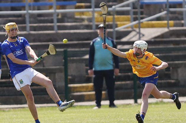 Wicklow start brightly but fall away to impressive Roscommon