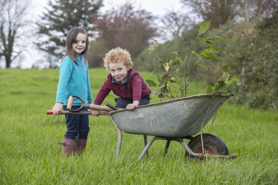 Glanbia wheelbarrow store