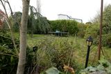 thumbnail: The luxury mansion at Coldwater Lakes in Dublin, which was seized by CAB, is now unkempt and overgrown