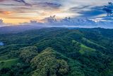 thumbnail: Tobago’s rainforest