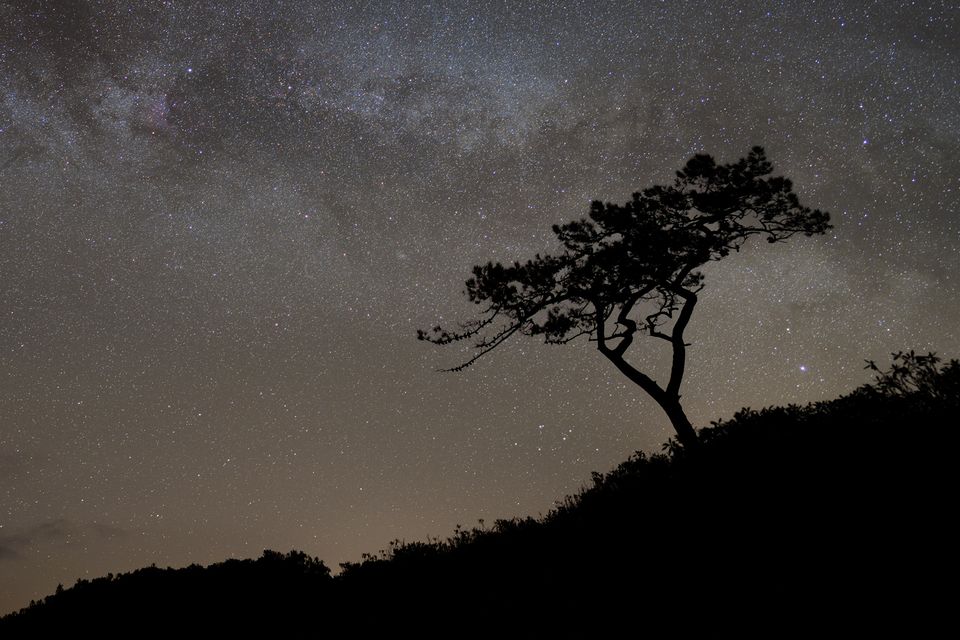 Mayo Dark Sky Park. Photo: Josh Matthews / Fáilte Ireland