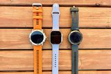 garmin fenix best price