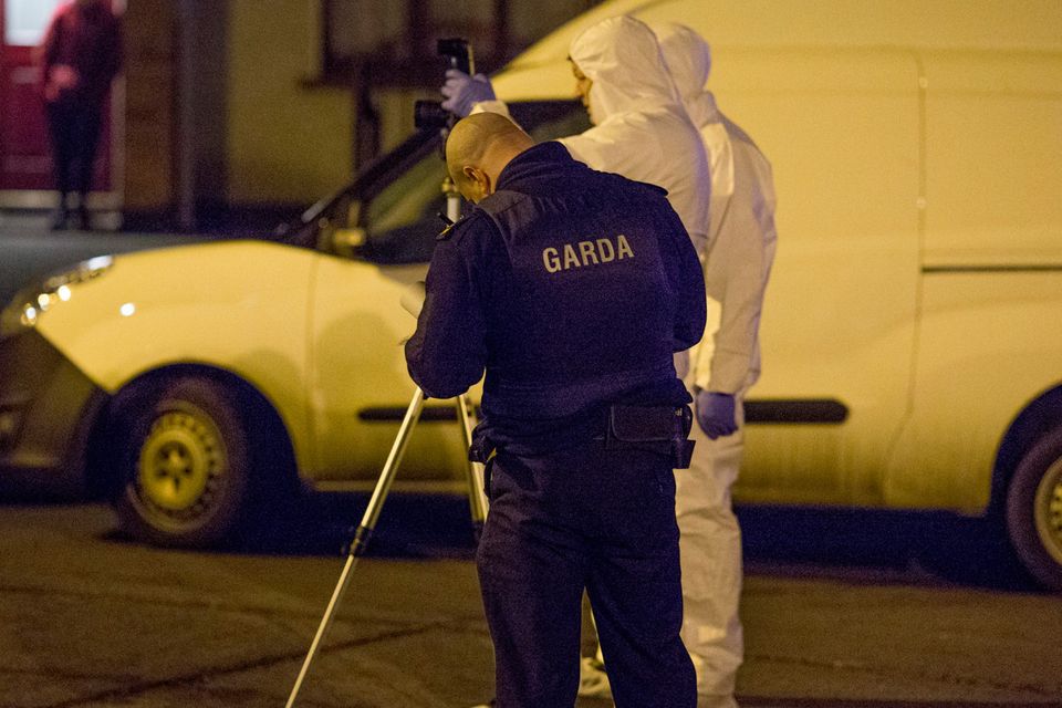 Gardai at the scene of the shooting in Mulhuddart Photo: Arthur Carron