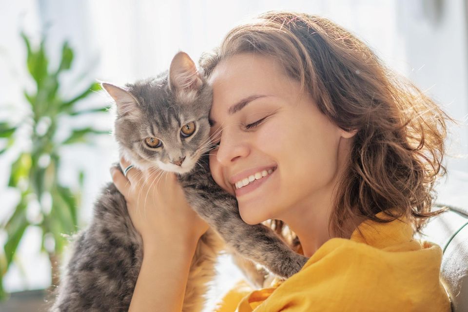 The girlfriend may have a strong bond with the cats. Photo: Picture posed/Getty Images