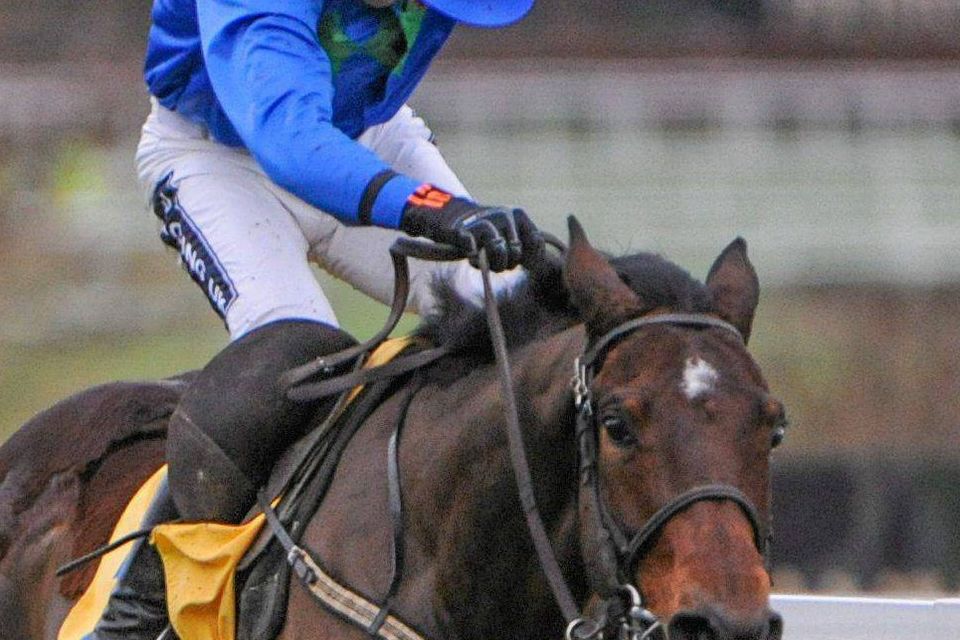 Hurricane Fly, with Ruby Walsh up, on their way to winning The Ryanair Hurdle. Leopardstown Christmas Racing Festival 2013, Leopardstown Racetrack, Leopardstown, Co. Dublin. Photo: Ramsey Cardy / SPORTSFILE