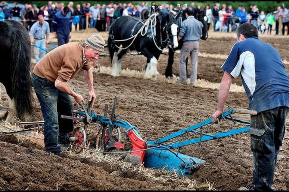 The National Ploughing Championships takes place in Ratheniska, Co Laois from September 19 to September 21.