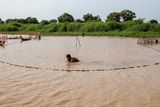 thumbnail: A man uses a fishing net to catch fish in the floating village