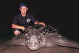 thumbnail: Rowan Byrne pictured with an adult leatherback turtle.