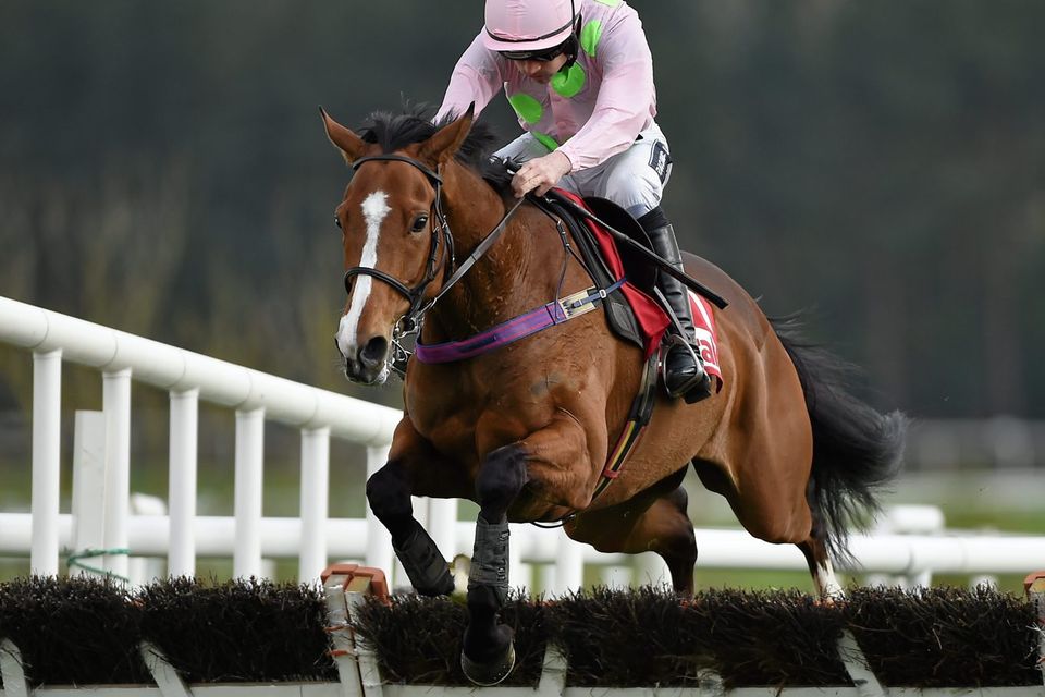 Champion Hurdle favourite Faugheen has starred at Limerick in the past. Barry Cregg / SPORTSFILE