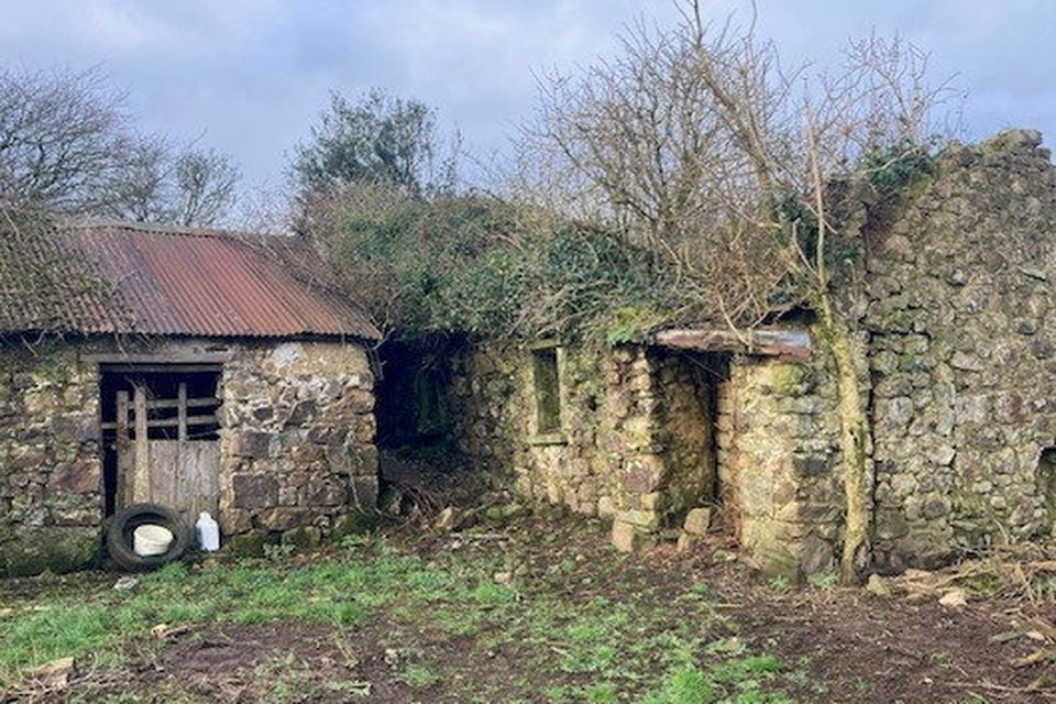 The property at Rathkyle came with a stone-build derelict dwelling.