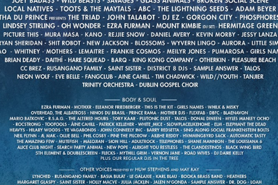 The line-up for Electric Picnic 2016