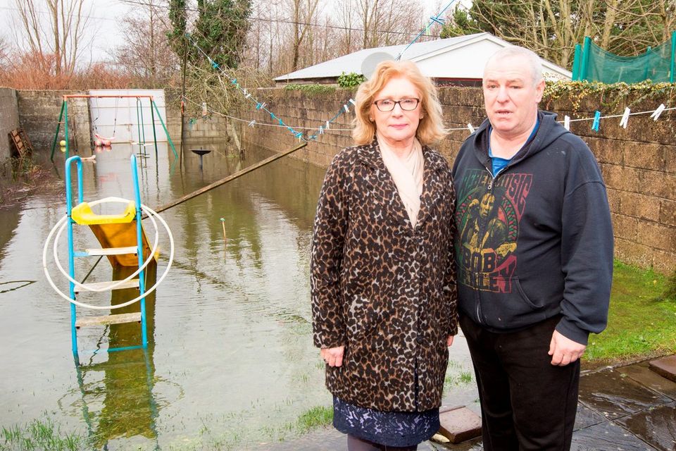 Education Minister Jan O’Sullivan visited Colm Walsh in his flooded back yard in Limerick while out canvassing. Photo: Liam Burke/Press 22