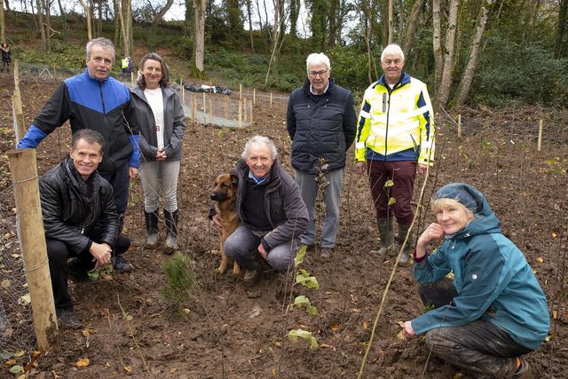 Wexford forest chosen for one million trees initiative | Irish Independent