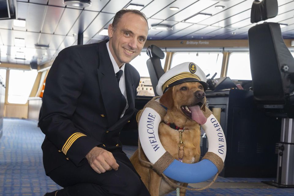 Brittany ferries best sale and dogs