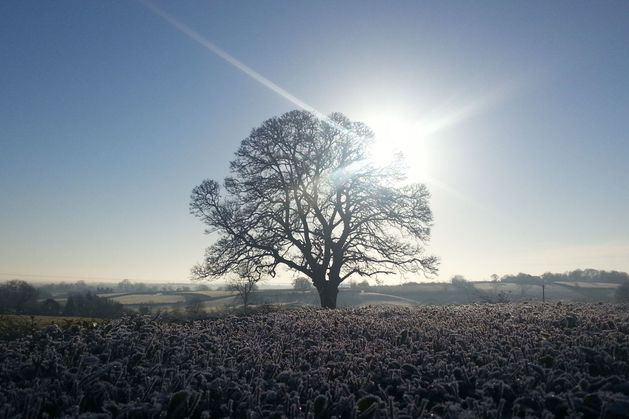 Yellow weather alert issued for whole country amid snow and ice threat