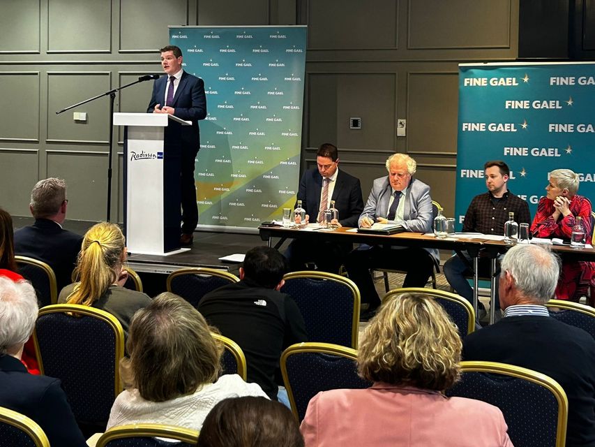Minister for Enterprise, Trade and Employment Peter Burke takes to the podium at the Radisson Blu Hotel, Athlone last night.