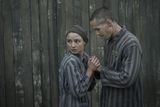 thumbnail: Jonah Hauer-King as Lali Sokolov & Anna Próchniak as Gita Furman in The Tattooist of Auschwitz. Photo: Martin Mlaka / Sky UK