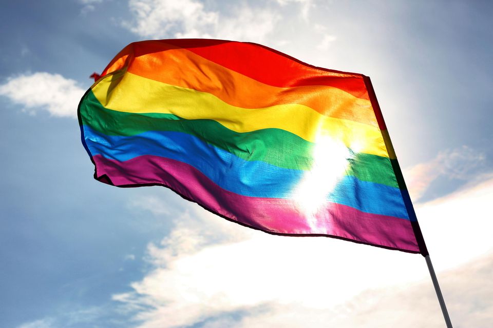 Members of the local LGBTQ+ community (friends and family) are welcome to join the group in their walk and help celebrate the first Dublin Pride Parade in three years.