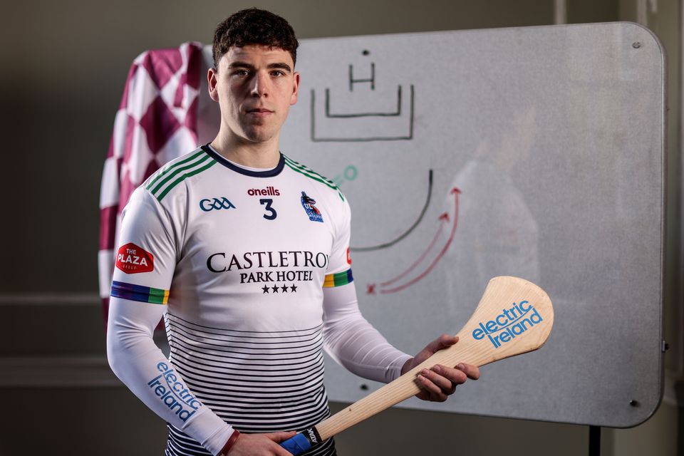 University of Limerick and Galway hurler TJ Brennan. Photo: Inpho