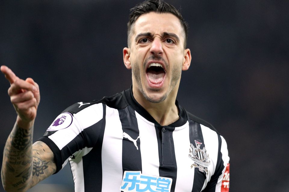 Newcastle United's Joselu celebrates scoring his side's first goal of the game during the Premier League match at St James' Park, Newcastle.