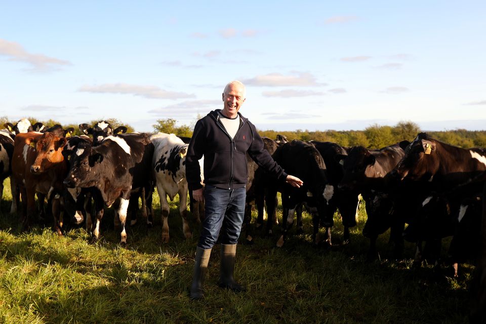 Billy Gilmore at his farm outside Tuam, Co. Galway.