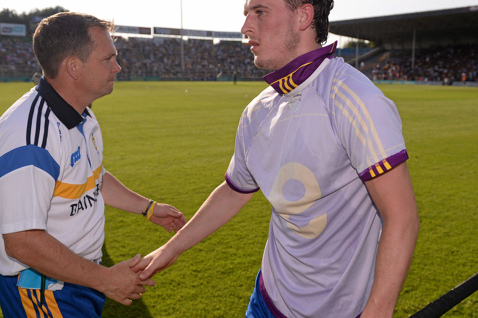 Clare manager Davy Fitzgerald and Nicky O'Connell during last year's hurling championship.