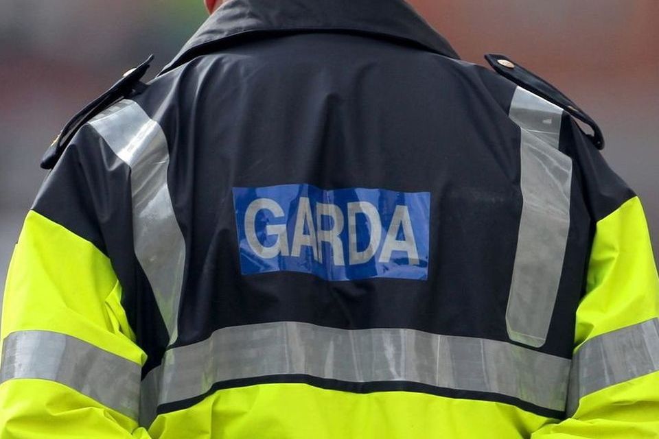 Armed gardaí respond as two men struck in head with axe during mass brawl in Dublin city centre