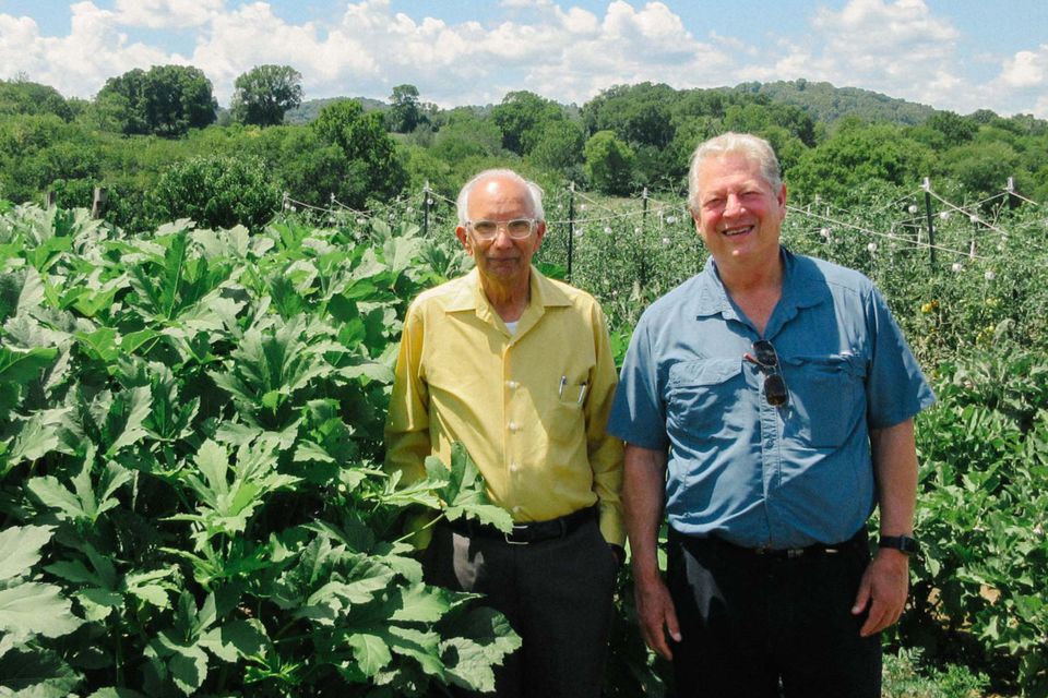 al gore tobacco farm Does Gore's regenerative farming hold the answer to climate crisis?