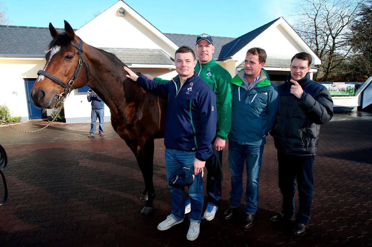 Vet who saved legendary racehorse Galileo answers call to serve the ...