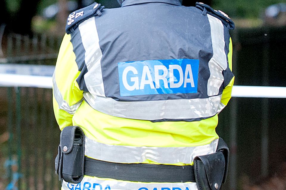 Gardai investigate after shots fired at car overnight