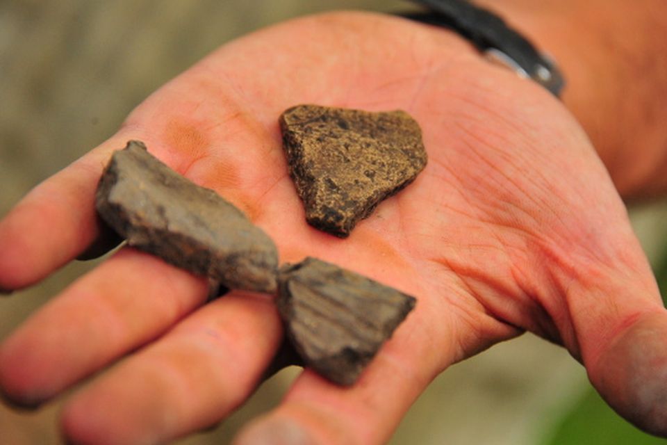 Pottery fragments discovered at Drumhold dating from the Norman settlement at Drumholm