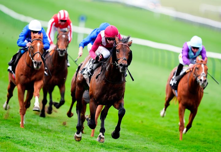 Oxagon earns right to go for Guineas gold after Aidan O’Brien’s Hawk Mountain withdraws due to drying ground