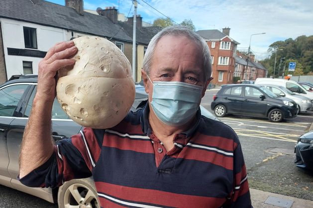 www.independent.ie