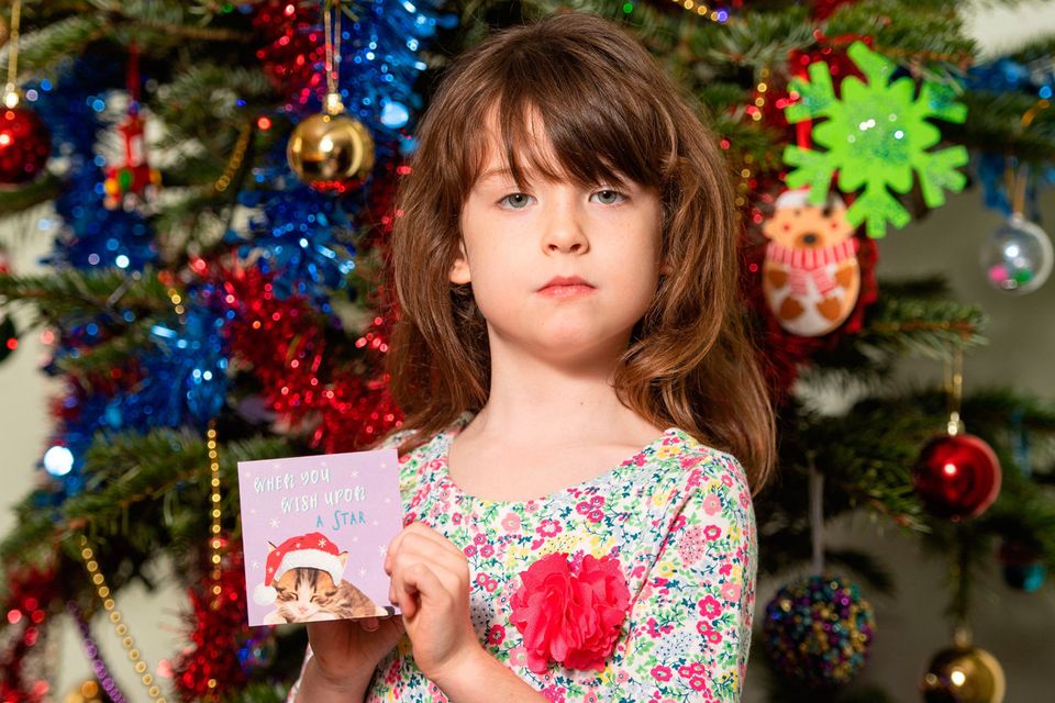 tesco ireland christmas trees